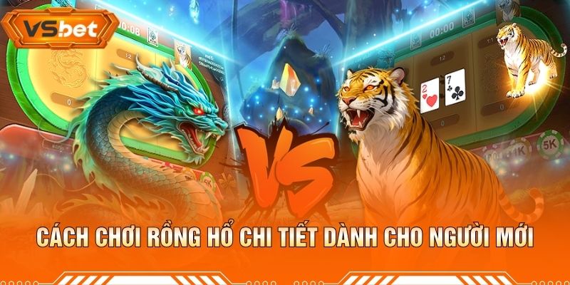 Cách Chơi Rồng Hổ Chi Tiết Dành Cho Người Mới