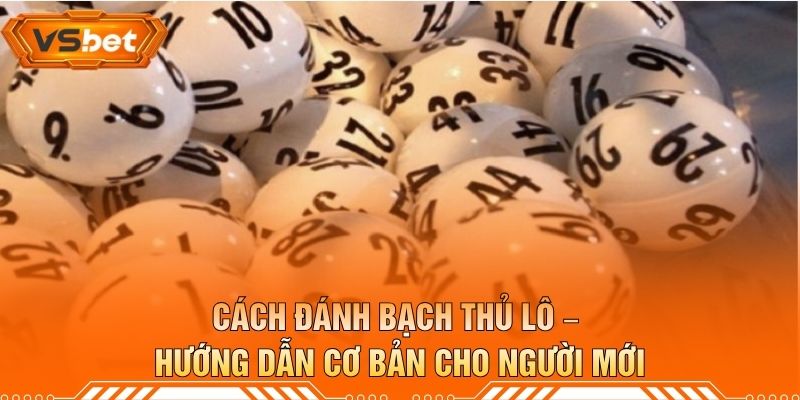 Cách Đánh Bạch Thủ Lô – Hướng Dẫn Cơ Bản Cho Người Mới