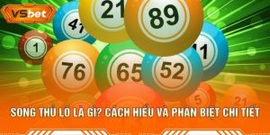 Song Thủ Lô Là Gì? Cách Hiểu Và Phân Biệt Chi Tiết
